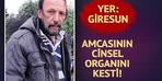 Amcasının cinsel organını kesti! O sana misafir olarak geldi...