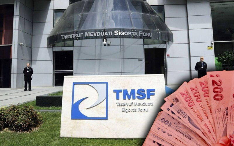 TMSF, Assan Group'u satışa çıkardı: Fiyat belli oldu